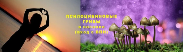 альфа пвп Белокуриха